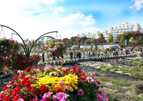 유성국화전시회